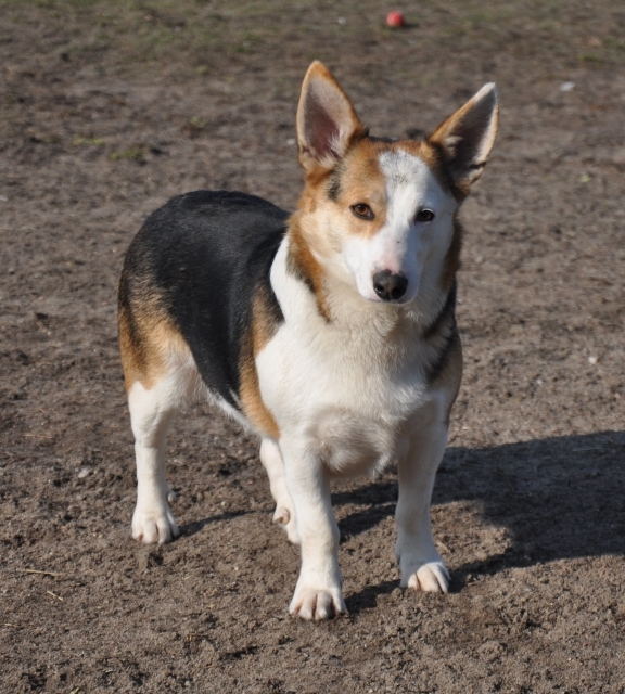 Zosia 
