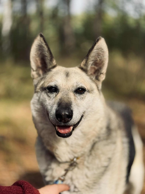 Max