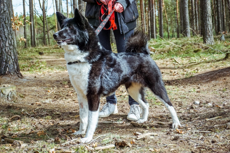 Yuki