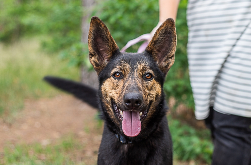 Ziva