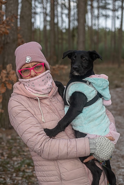 Gaja