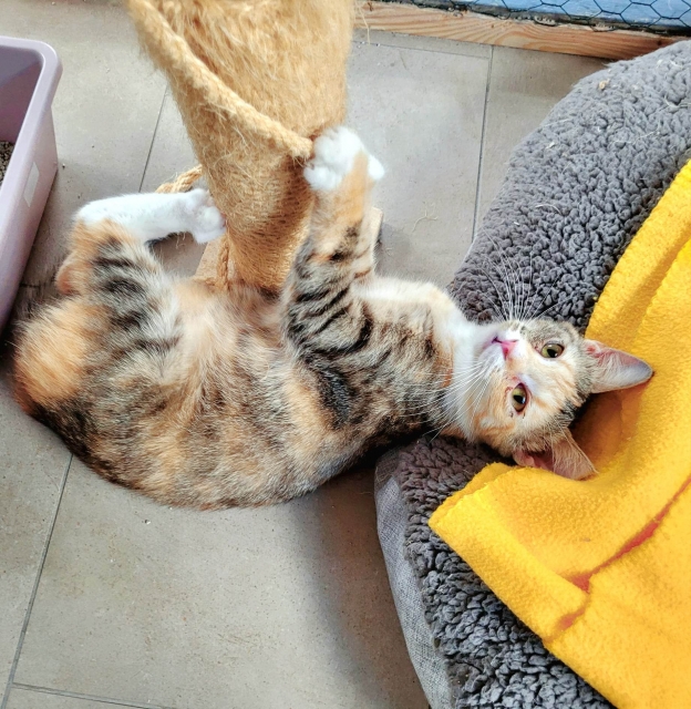 Nina