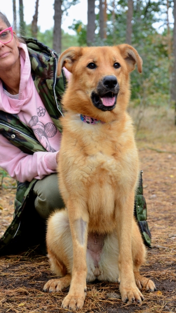 Zoya