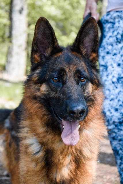 Zeus