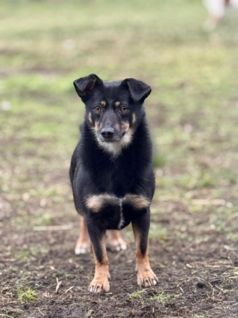 Salma