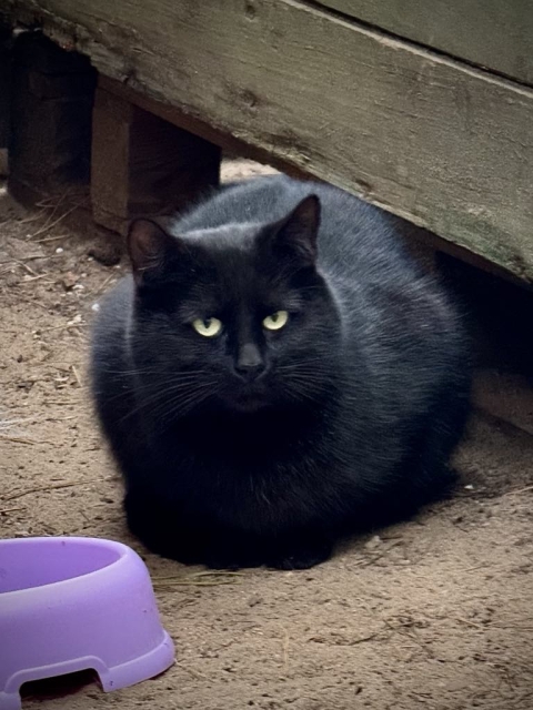 Salem